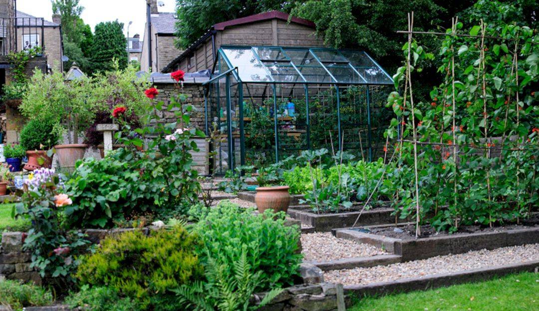 Growing A Vegetable Garden