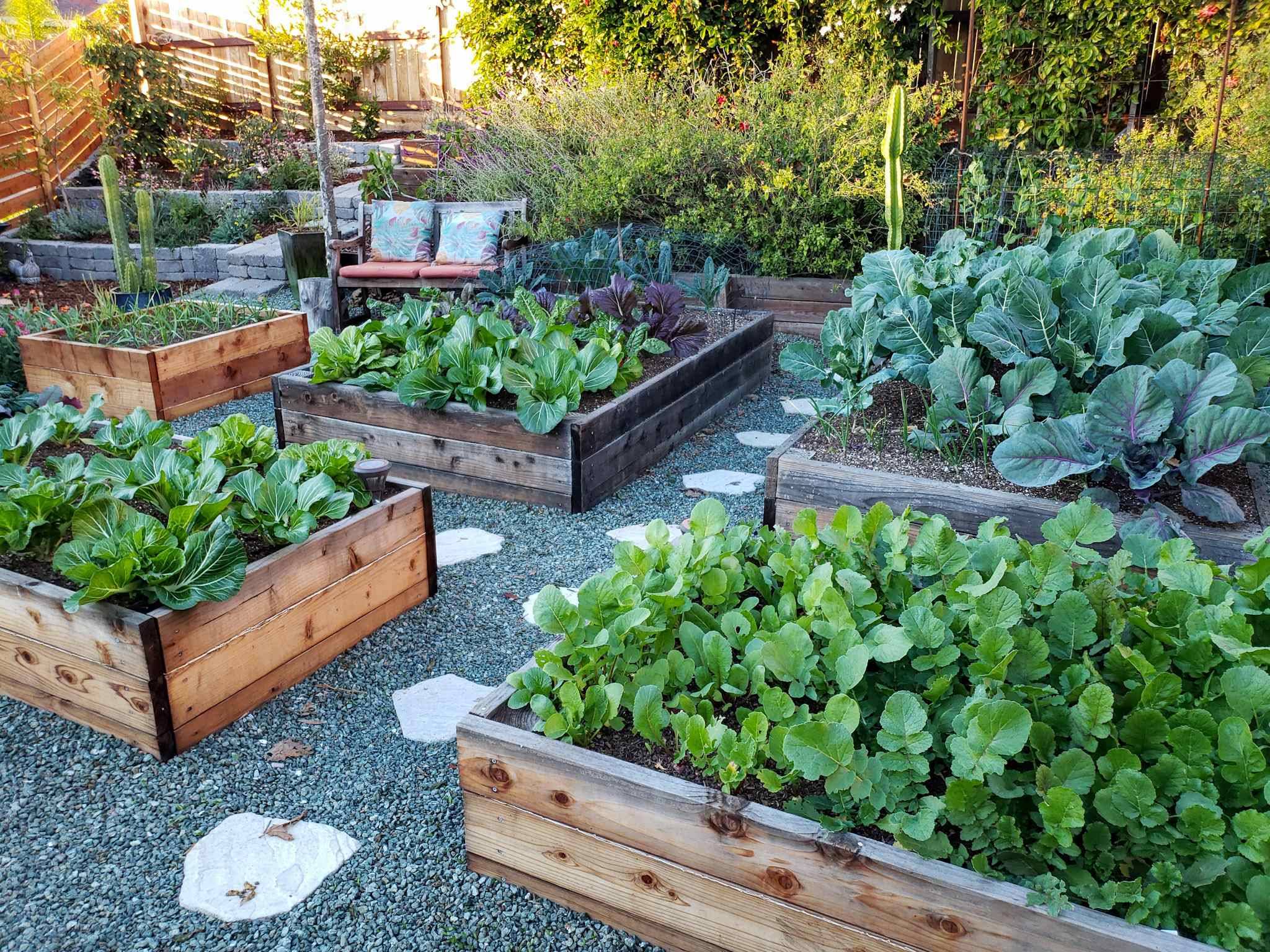 Self Sufficient Vegetable Garden