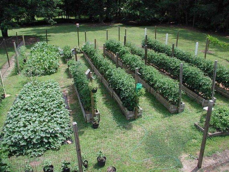 Self Sufficient Vegetable Garden