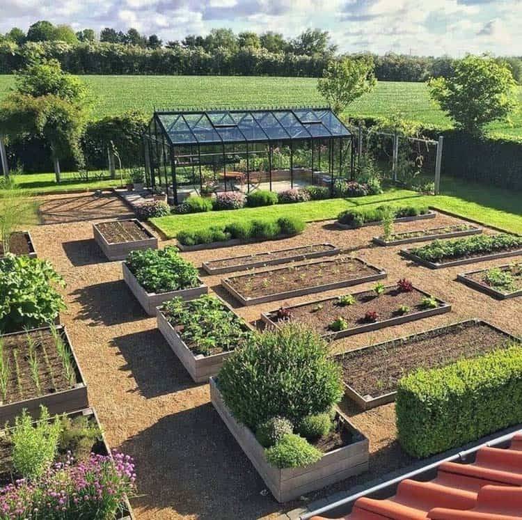 Square Foot Gardening