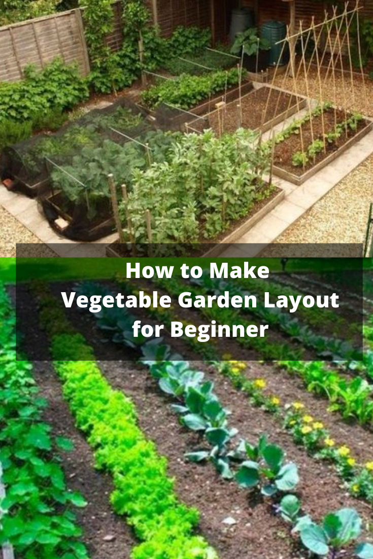 Great Border Vegetable Garden Boxes