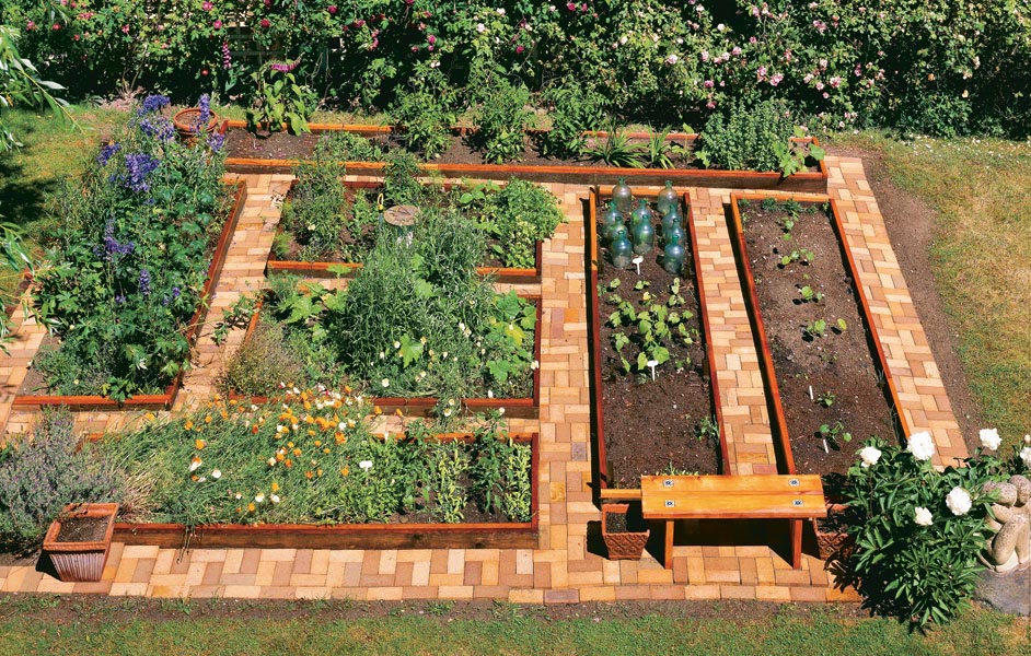 Medium Vegetable Garden Ideas