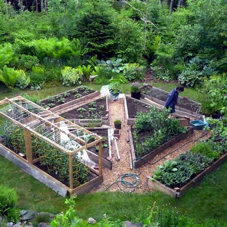 Vegetable Garden Layout