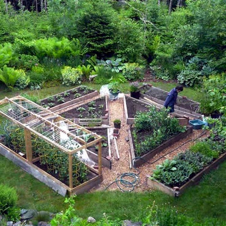 Vegetable Garden Layout