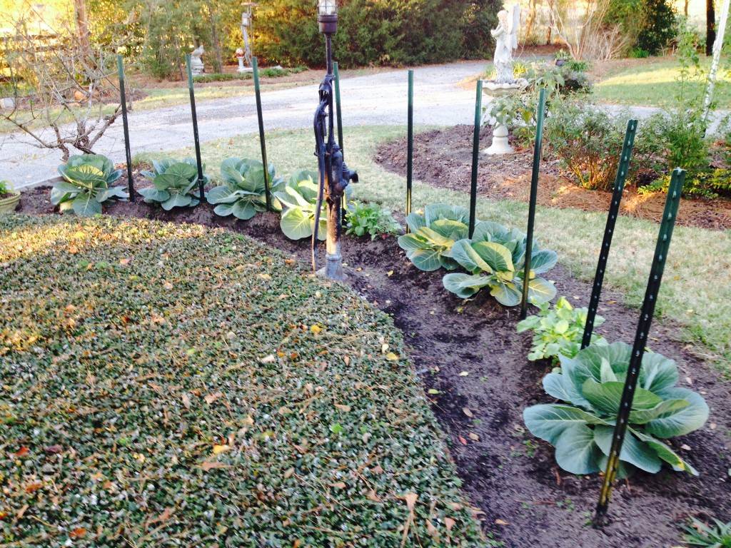 This Vegetable Garden Design Ideas