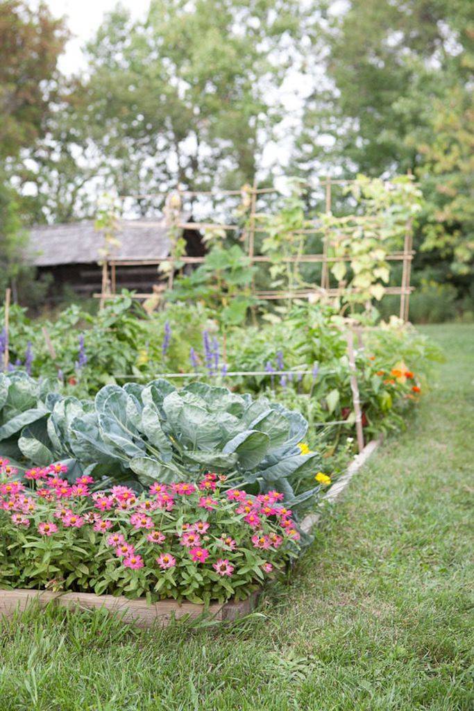 Texas Spring Organic Vegetable Garden