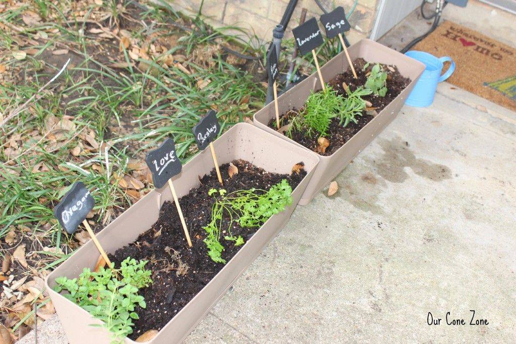 Texas Vegetable Garden Vegetablegardening Vegetable Garden Design