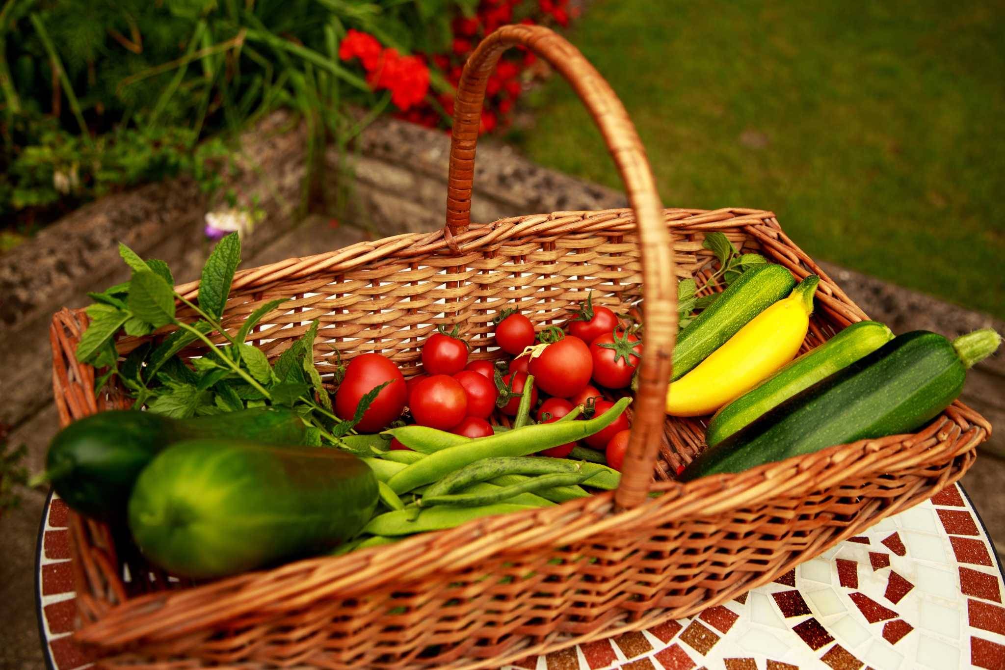 What To Plant In June Late Summer Crops July August Fall Crops