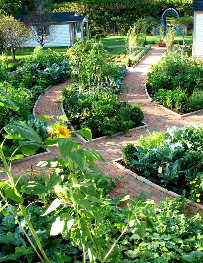 Brilliant Vegetable Garden Layout Ideas