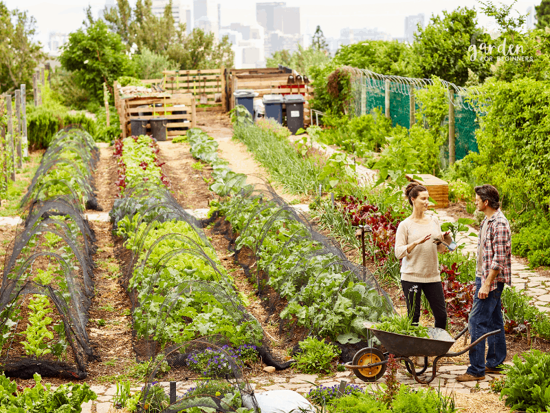 Inspiring Vegetable Garden Design