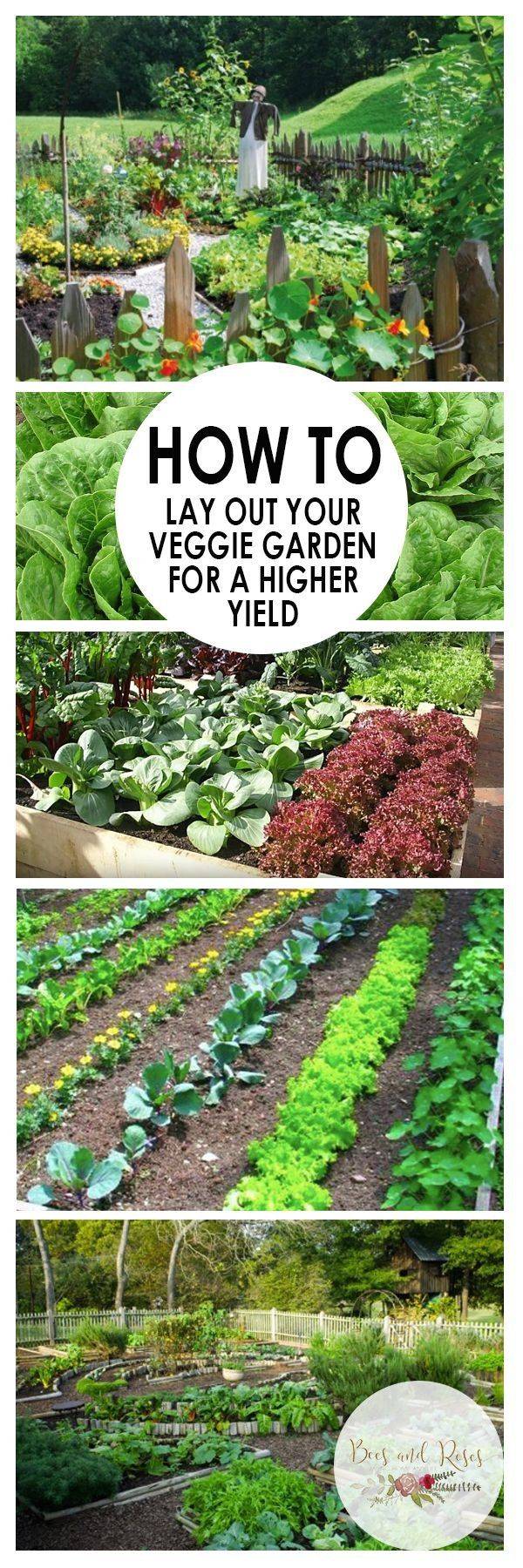 Garden Home Vegetable Garden Design