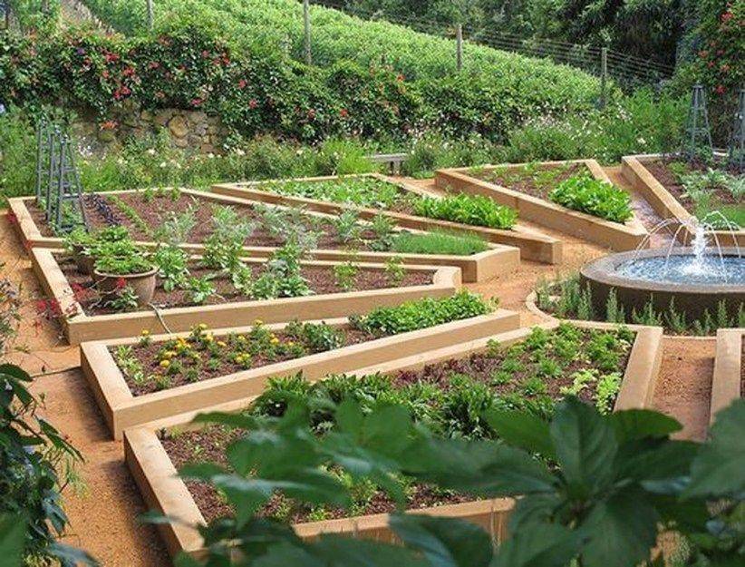 Vegetable Garden Layout