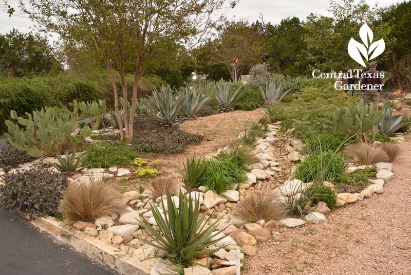 East Texas Winter Garden Vegetables Texas Forest Country Living