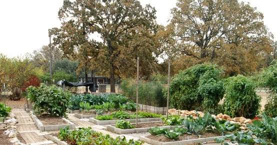 Small Gardens Central Texas Gardener