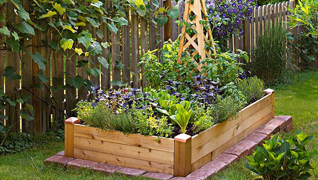 Square Foot Gardening Update