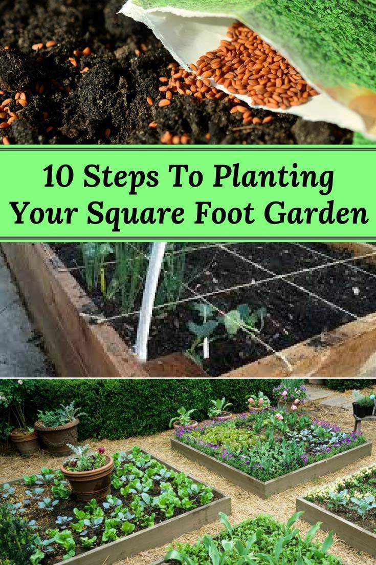 Square Foot Gardening