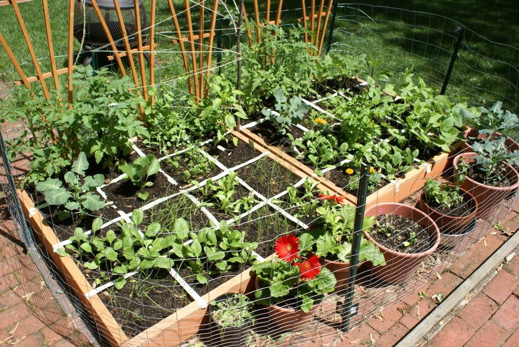 Square Foot Gardening Growing Guides