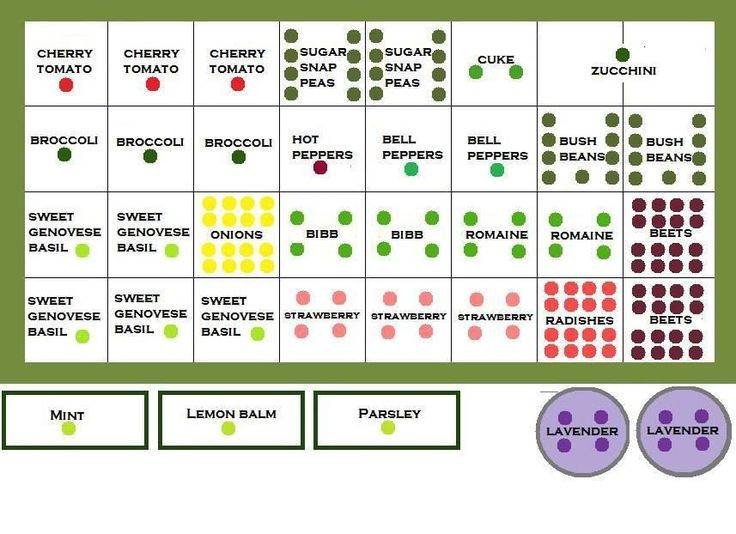 Rectangular Companion Planting Garden Layout Garden Layout