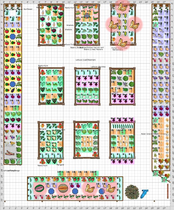 Square Foot Gardening Layout