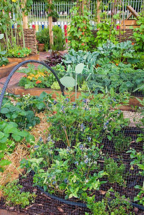 Square Foot Gardening