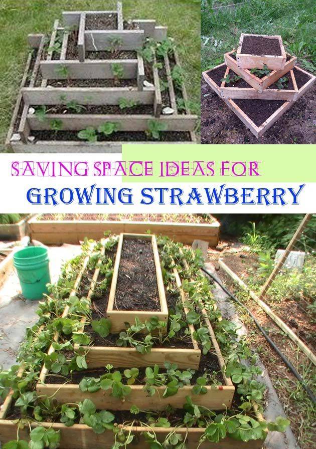 Square Foot Gardening