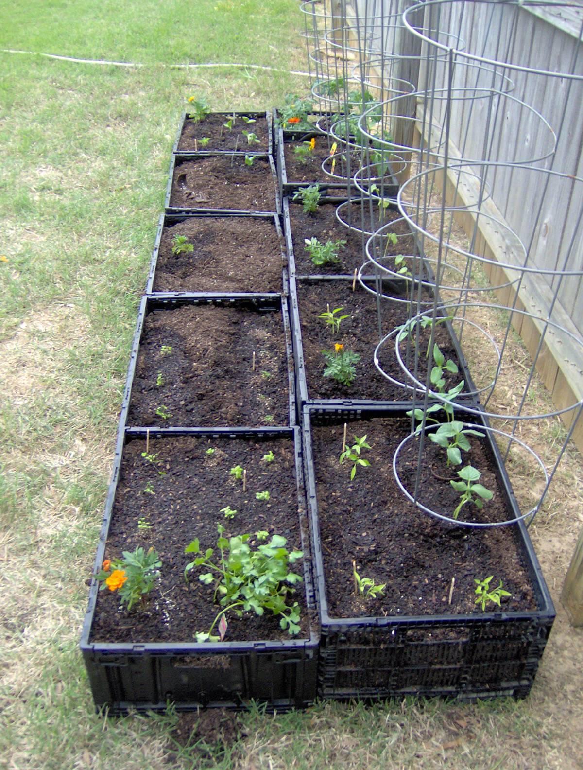 Our Square Foot Garden