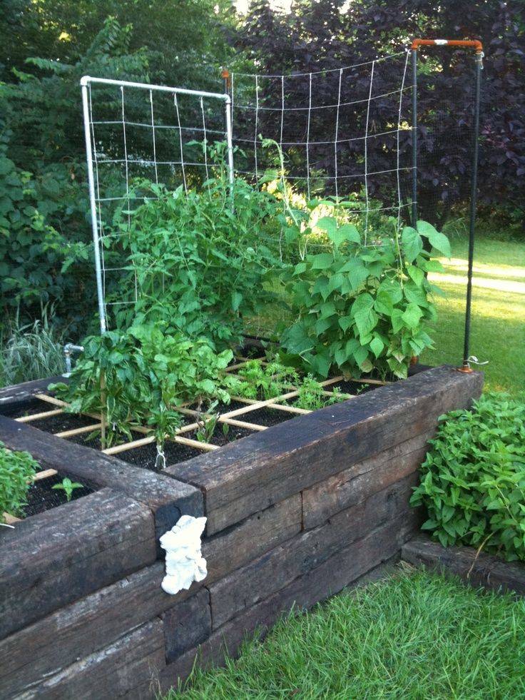 Hardwood Dividers Square Foot Gardening