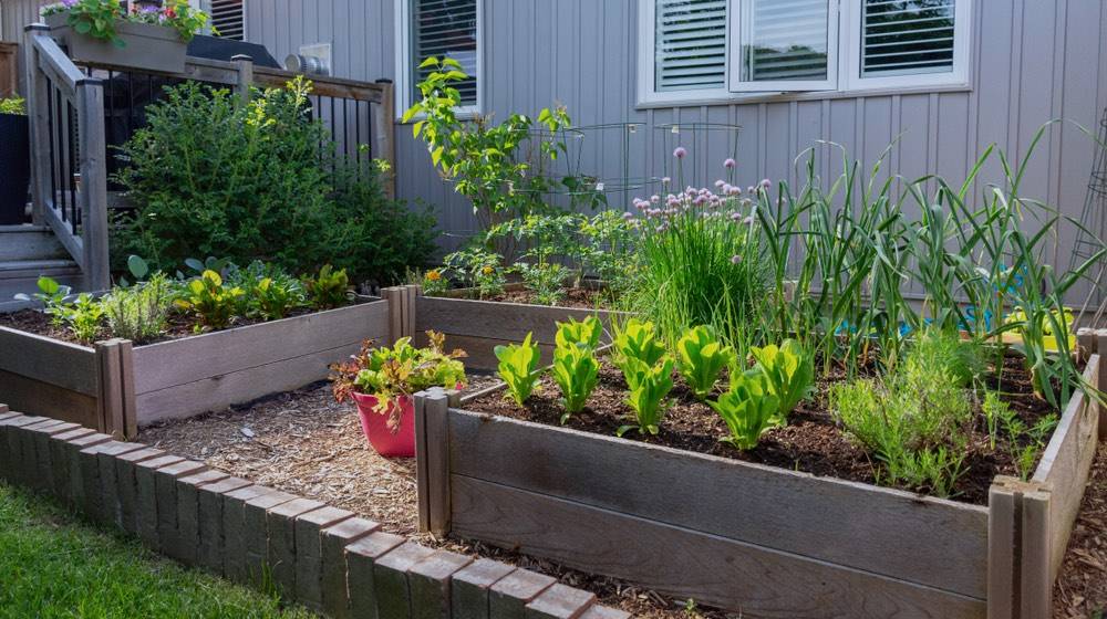 A Window Box Planter Www