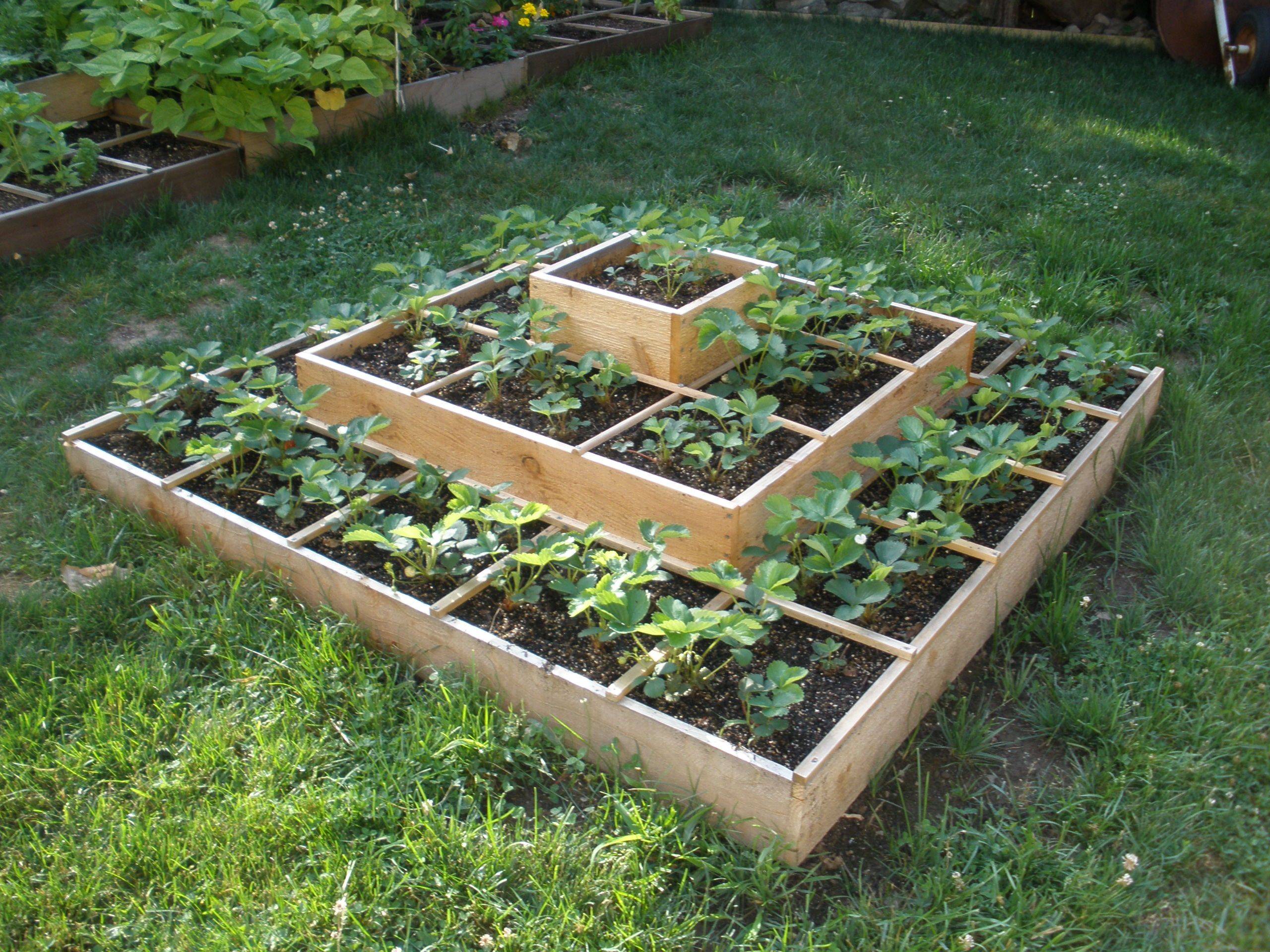 Week Raised Garden