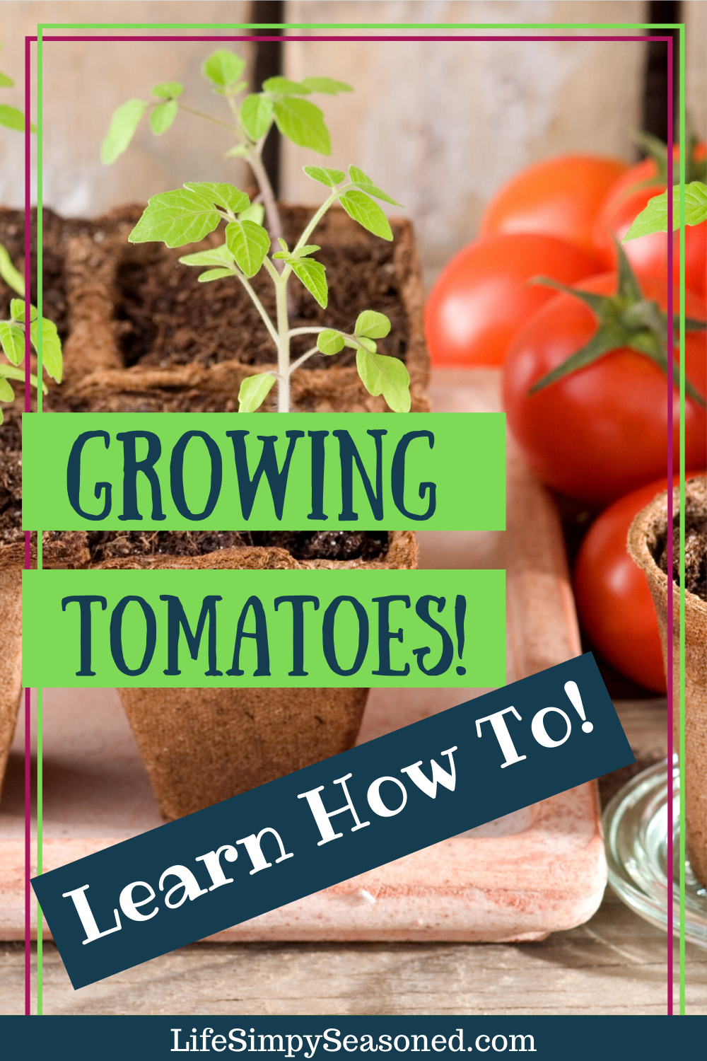 Pruning Tomato Plants