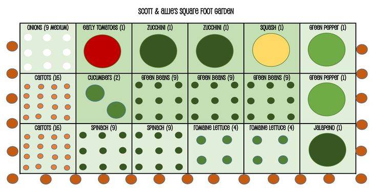 Square Foot Gardening Layout Ideas