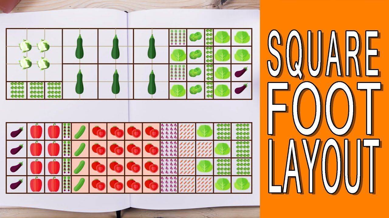 Square Foot Garden Planting Template Square Foot Gardening