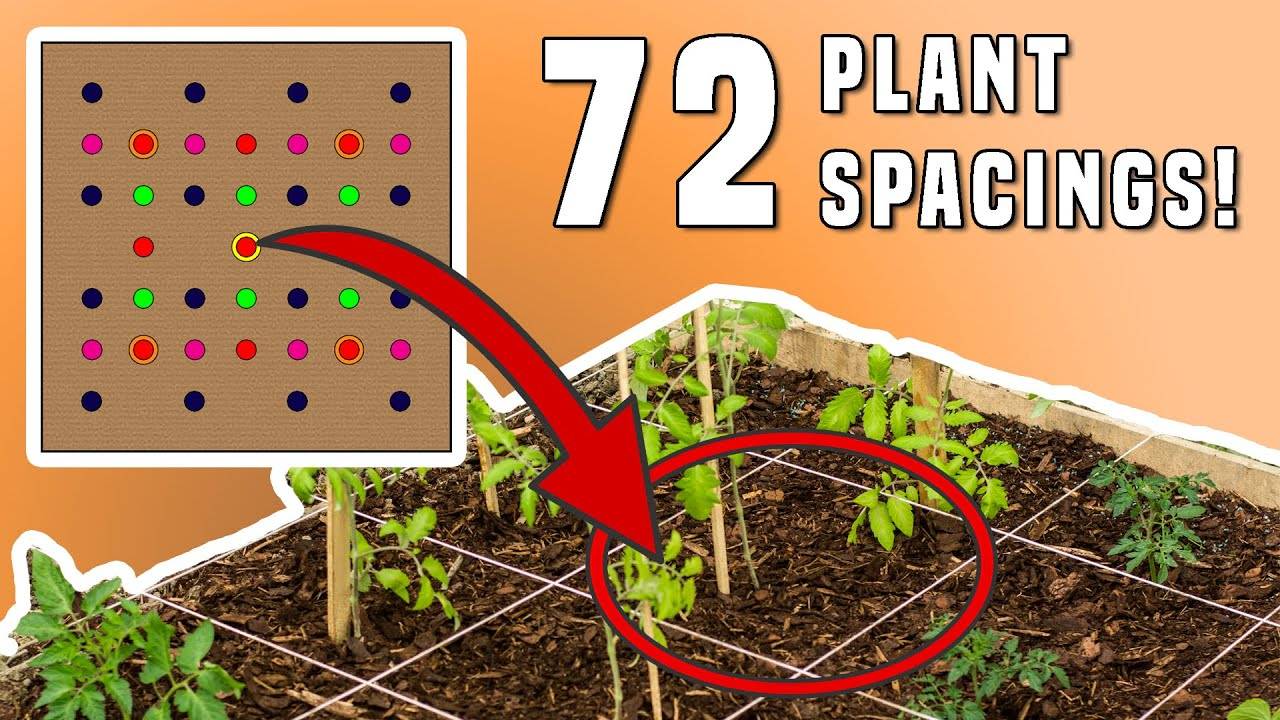 Square Foot Gardening Layout Mouade Agafay