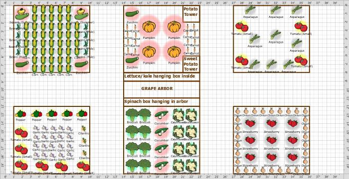 Square Foot Gardening Sample