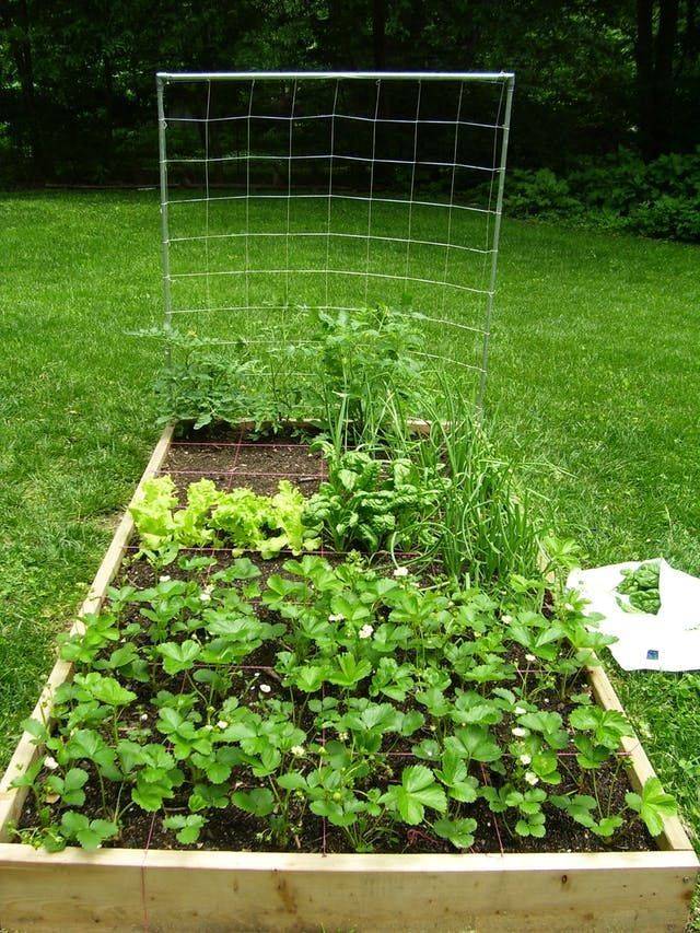 Squarefootgardenplanner Square Foot Gardening