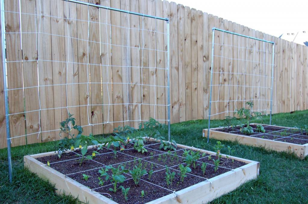 Square Foot Gardening Tips
