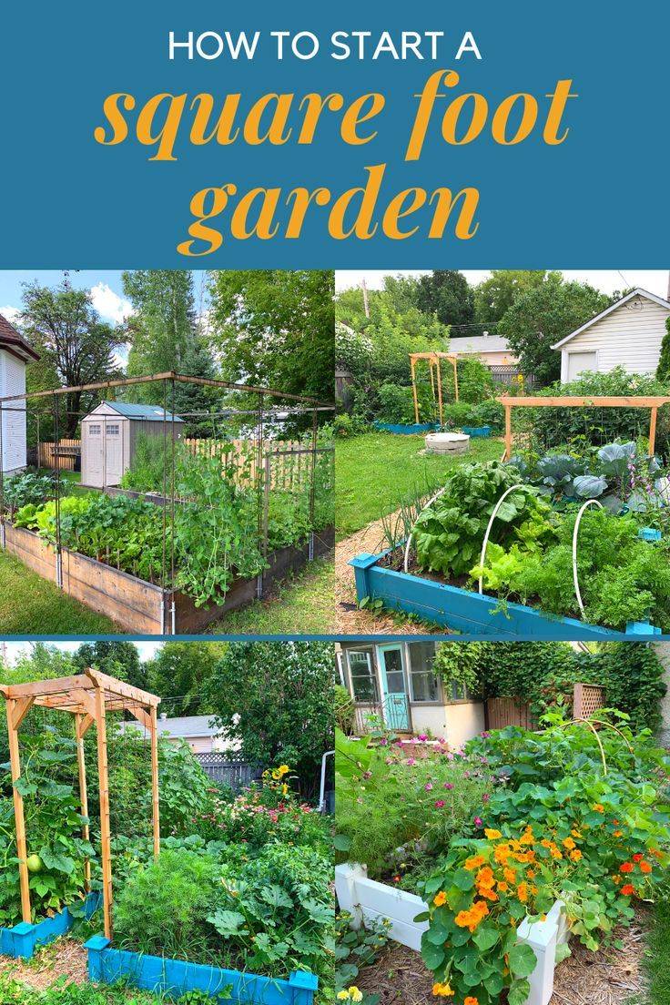 Square Foot Gardening
