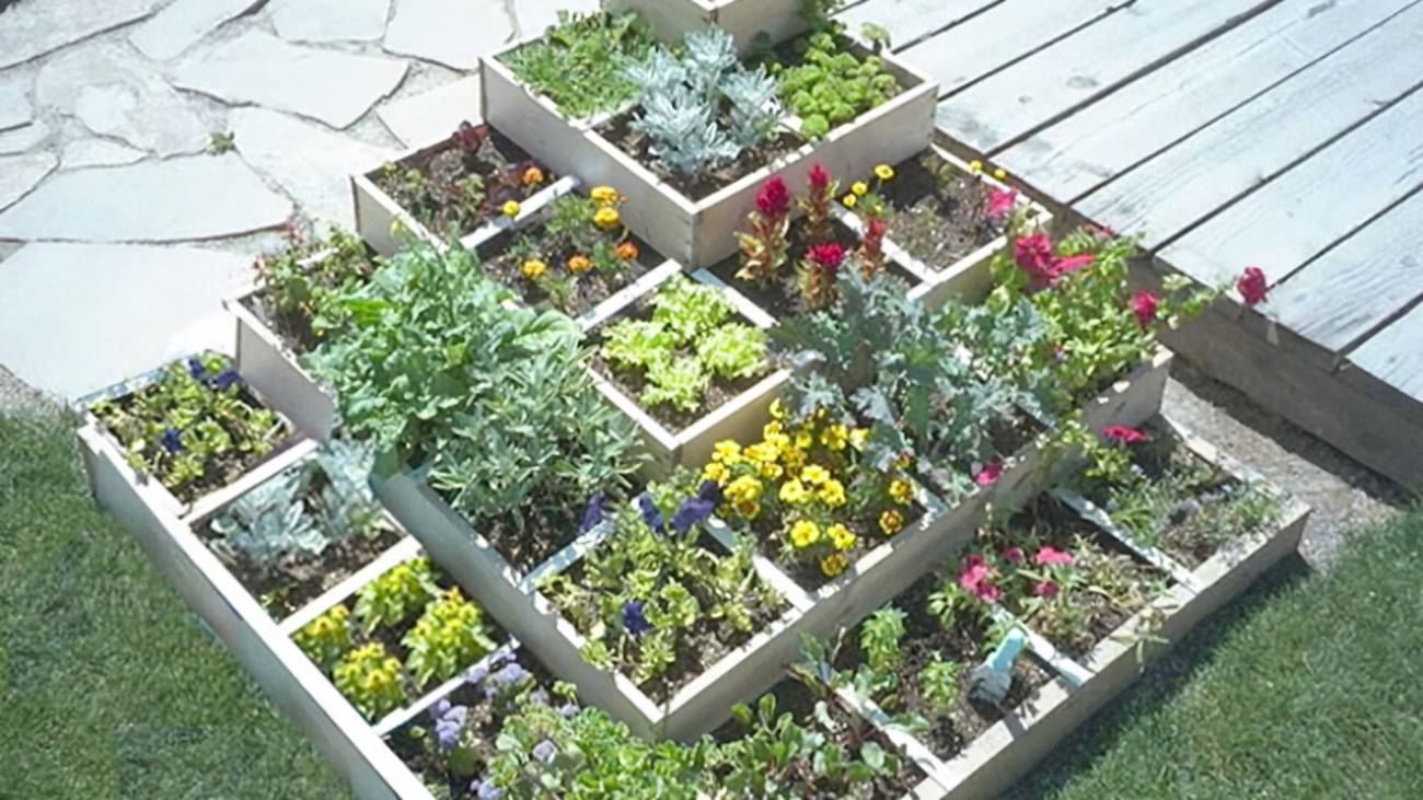 Gardening Ideas