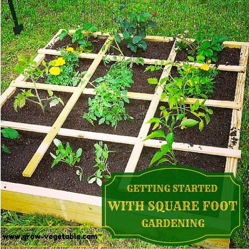 A Square Foot Vegetable Garden
