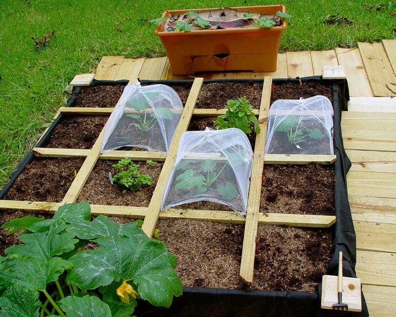 Projects Square Foot Garden Update Vegetablegardenideas