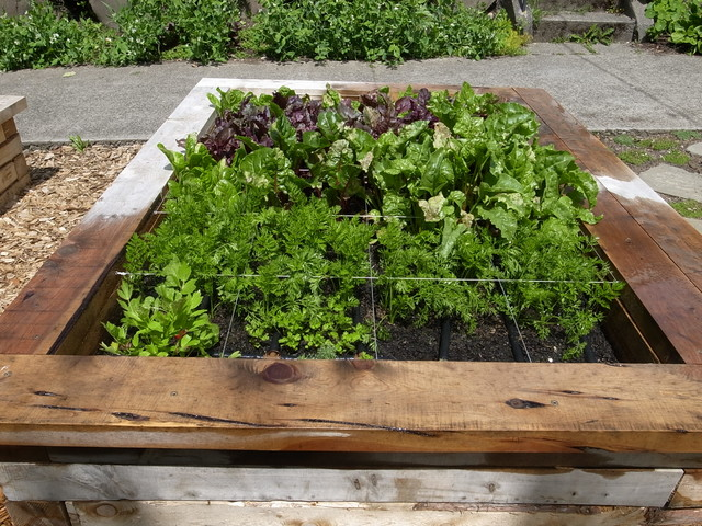 Square Foot Gardening