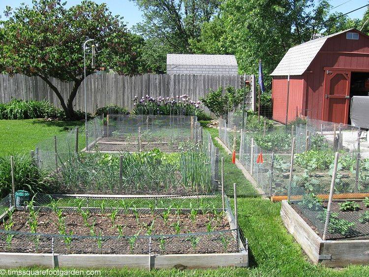 Square Foot Garden Designs