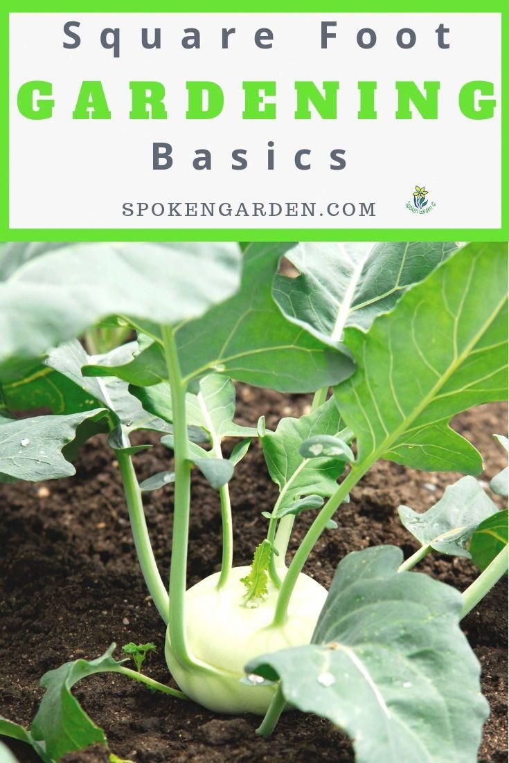 Square Foot Gardening