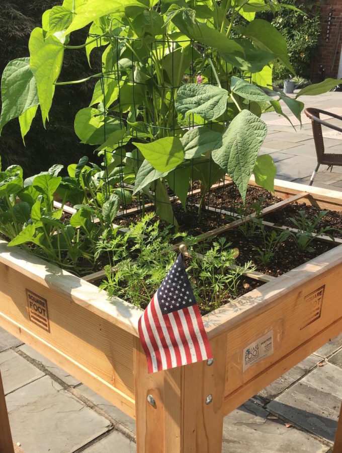 Square Foot Gardening