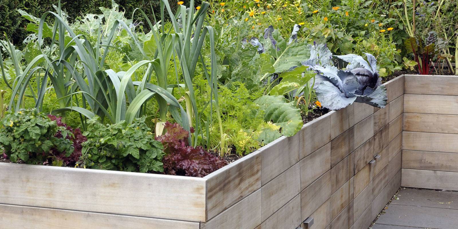 Creative And Inspiring Raised Bed Vegetable Garden Ideas