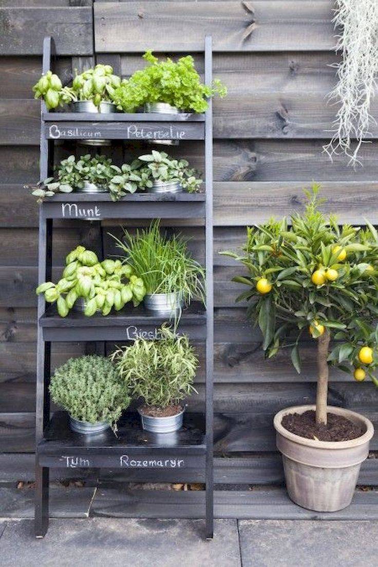 Diy Creative Patio Vegetable Garden Containers Ideas