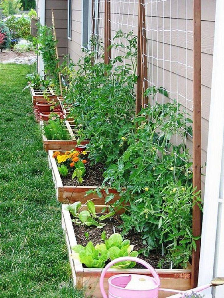 Unique Small Garden Ideas Vegetable Raised Beds Front Yards Cozy