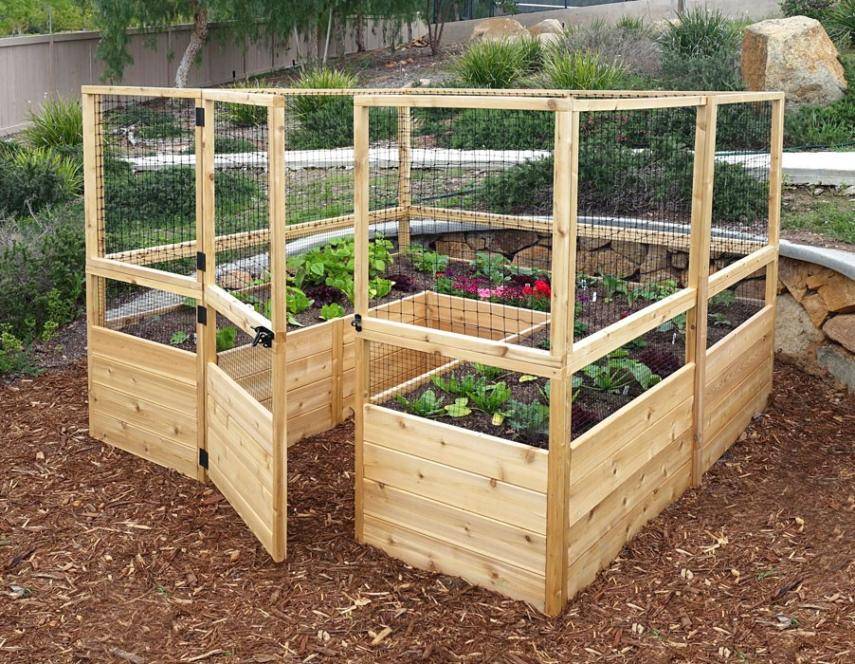 Garden Diy Vegetable Garden
