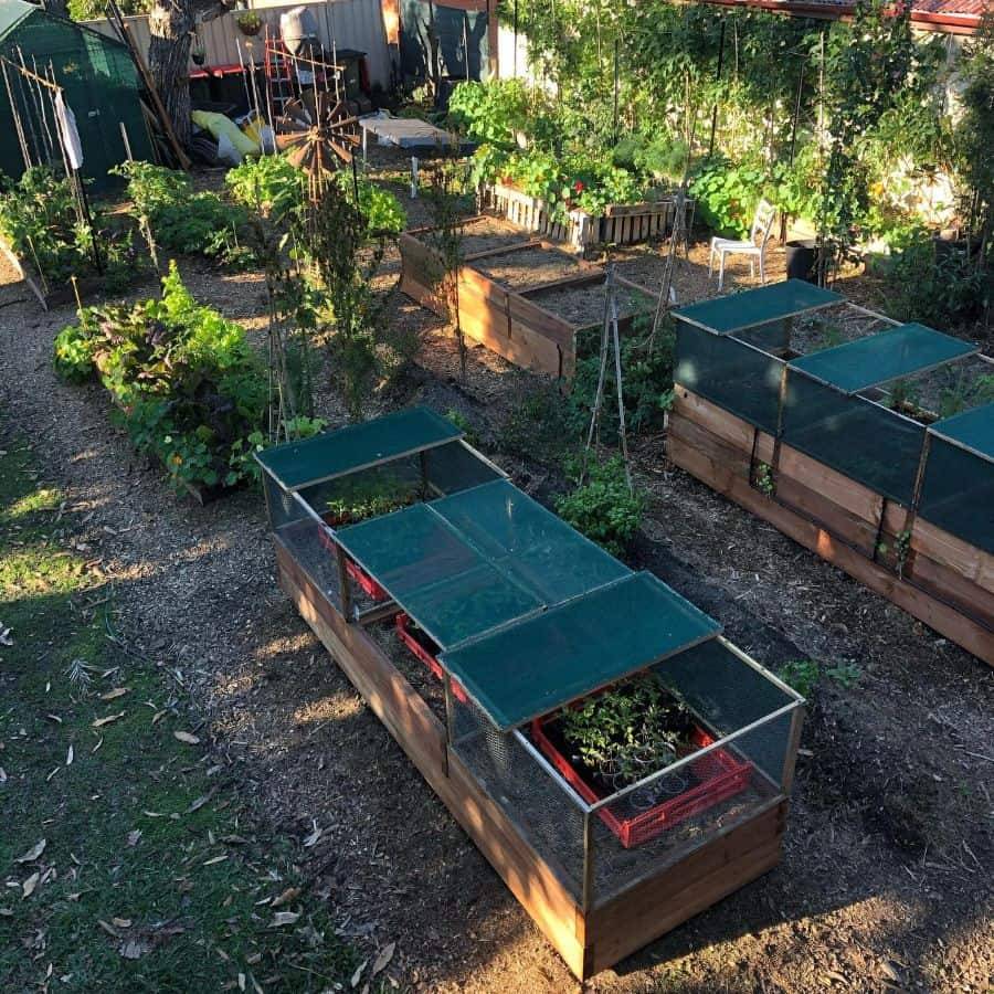 Enclosed Garden Idea Dog And Chicken Proof Gardening Vege Garden