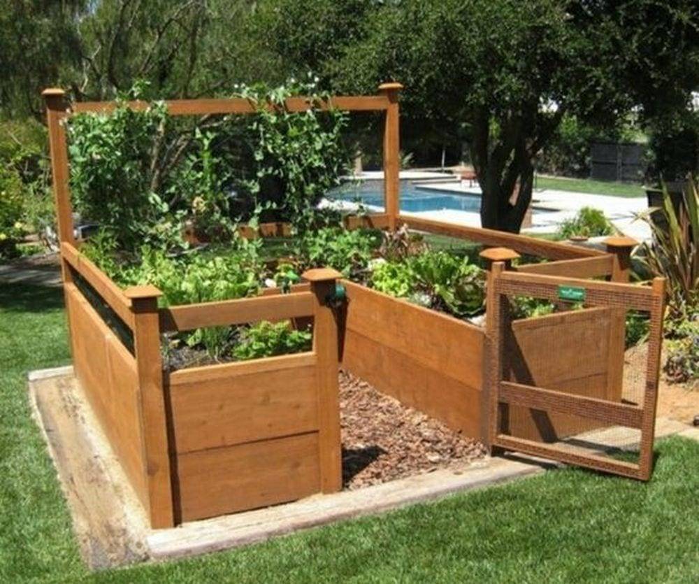 Enclosed Vegetable Garden